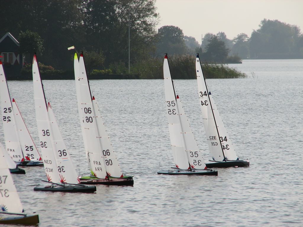 gouga08.jpg
