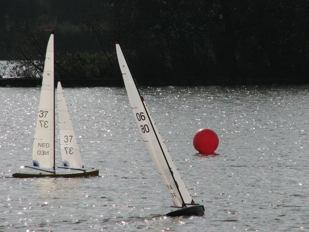 gouga09.jpg